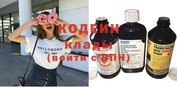 гашик Дубовка
