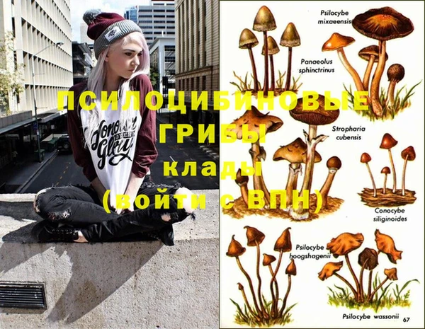 твердый Алзамай