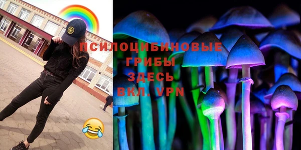 твердый Алзамай