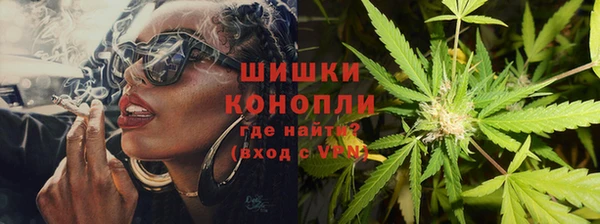 твердый Алзамай