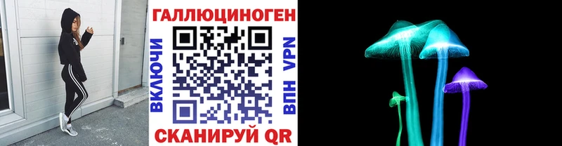 Галлюциногенные грибы Cubensis  купить   Жирновск 